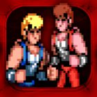 Double Dragon Trilogy icon