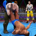 World Tag Team Wrestling Revolution Championship icon