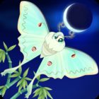 Flutter: Starlight icon