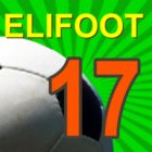 Elifoot 17 PRO icon