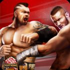 Champion Fight 3D icon