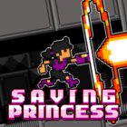 Saving Princess icon