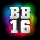 Big Bash 2016 icon