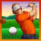 NEO TURF MASTERS icon