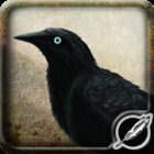 Munin icon