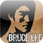 Bruce Lee Dragon Warrior icon