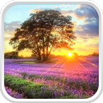 Coucher de soleil parfait icon