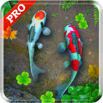 Koi Pond Pro Live Wallpaper icon