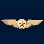 Infinite Passengers icon