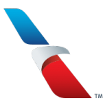 American Airlines icon