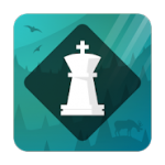 Magnus Trainer icon