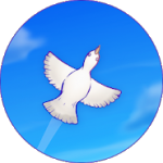 Skyward Journey icon