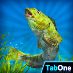 My Fishing HD 2 icon