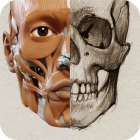 3D Anatomy for the Artist Lite icon