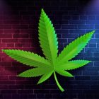 Weed Factory Idle icon