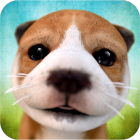 Dog Simulator icon