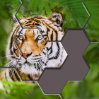 Hexa Jigsaw Puzzle icon