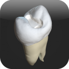 CavSim : Dental Cavity Trial icon