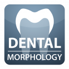 DENTAL MORPHOLOGY for Student icon