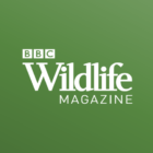 BBC Wildlife Magazine – Animal News, Facts & Photo icon