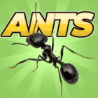 Pocket Ants: Colony Simulator icon