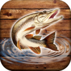 Fish Rain: Sport Fishing Games. Fishing Simulator. icon