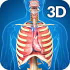 Respiratory System Anatomy icon