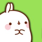 Molang Stickers icon