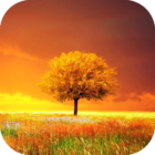 Awesome-Land Pro Live wallpaper icon