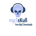 Mp3Skulls icon