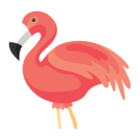 Flamingo Animator icon