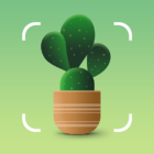 NatureID: Plant Identification icon