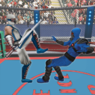 Real Robot Ninja Ring Fight icon