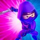 Silent Ninja icon