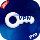 Wild VPN Pro icon