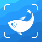 Picture Fish – Fish Identifier icon