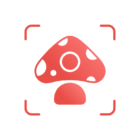 Picture Mushroom – Mushroom ID icon