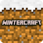 Winter Craft icon