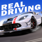 Real Driving 2 icon