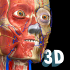 Anatomy Learning icon