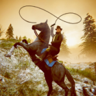 Cowboy Rodeo Rider icon