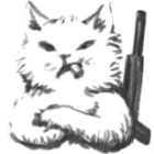 Kitten Taxi icon