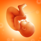 Pregnancy Tracker icon