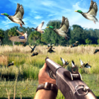 Duck Hunting Challenge icon