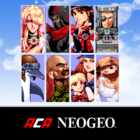 AERO FIGHTERS 2 ACA NEOGEO icon