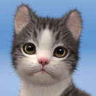 My Cat: Pet Game Simulator icon