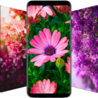 Flower Wallpapers in HD, 4K icon