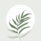 Blossom – Plant Identification icon