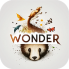 Wonder Walls icon