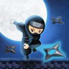 Soul Ninja – Auto Shooting icon